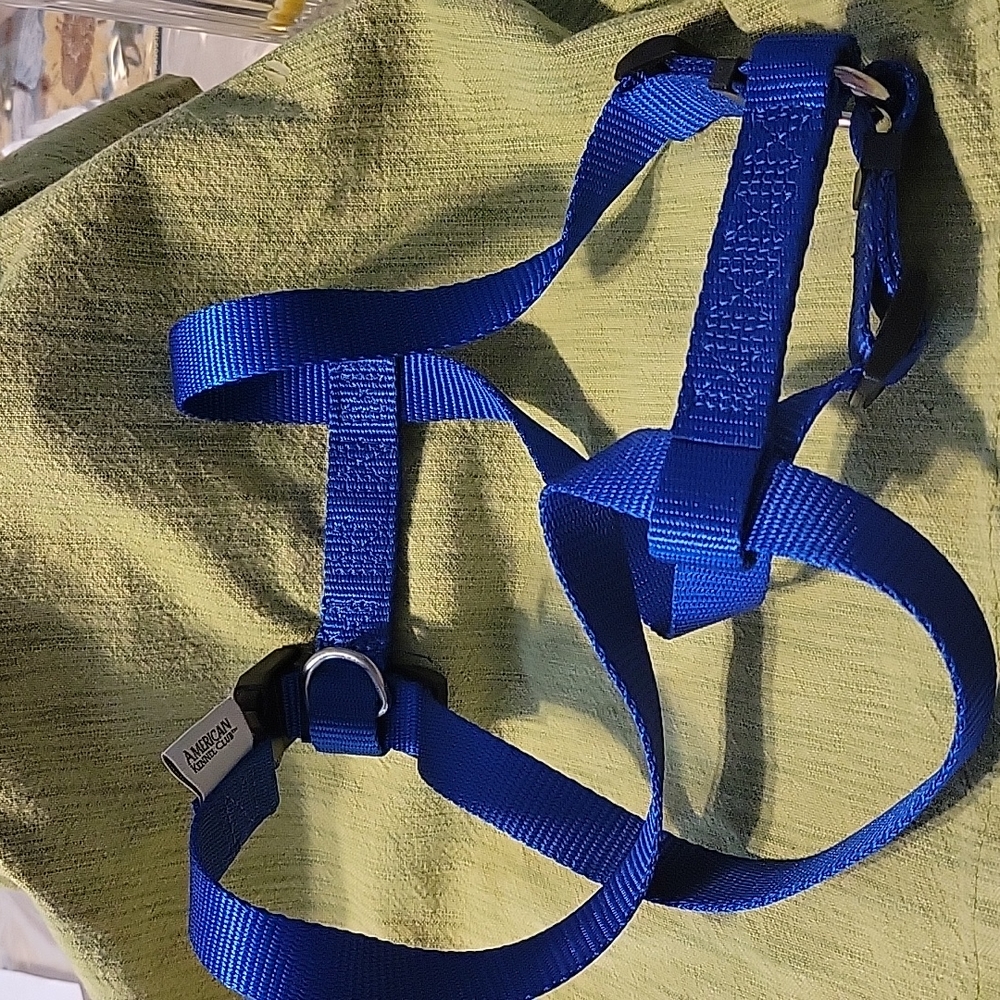 Dog Collar